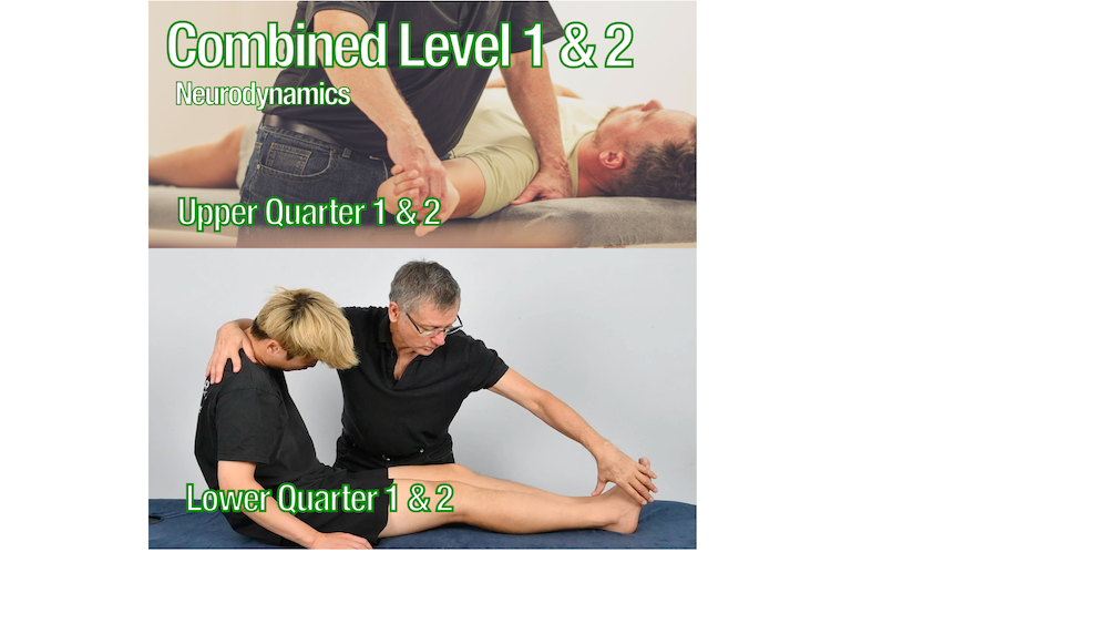 Neurodynamics - Combined Level 1 & 2 Courses. – Neurodynamic Solutions