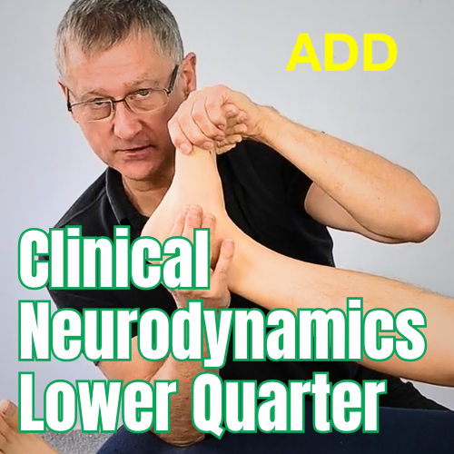Add Online Lower Quarter Course (1+2) Past Attendees Only (approx. 260€)